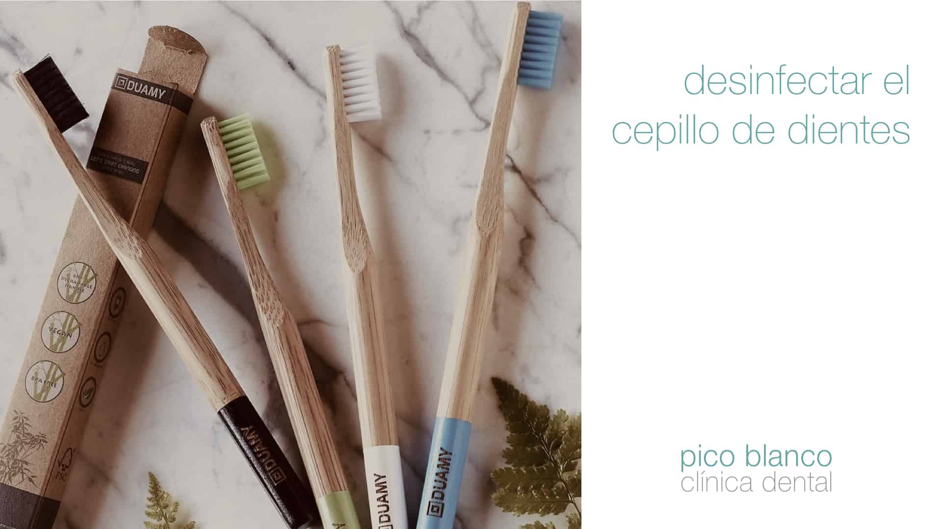 desinfectar cepillo de dientes